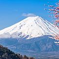 富士山下