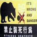 吃米長大的