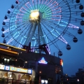 仙蒂媽