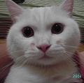 Winnie2009