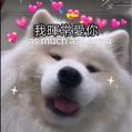 飛魚2020