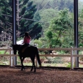 ariel.h