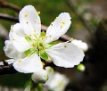 Bernice.Chiou