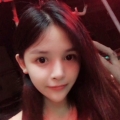 springe31