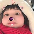 一只野貓