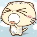 leehsinhungi
