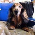 emmylove