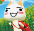 CatChang