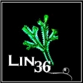 linccbabaco