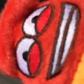 伯爵貓