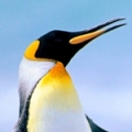 Dianaa