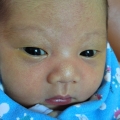 yinhsia