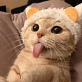 WesleyII