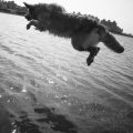 林大熊2010