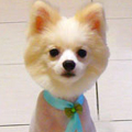 kiwilove15