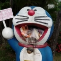 judycute886