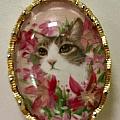TTmiao