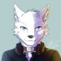 Wolf Kiba