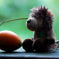 andreigel