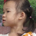 Cherry予