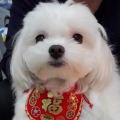 寒湘淩