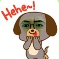 koyboy1001