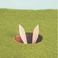 bunnyjump