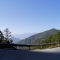 陳小錐