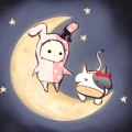 裴紫凝