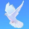 河哥