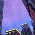 shalala916