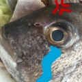 vircy