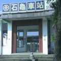 飛天石龜