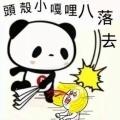 peter哲文
