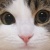 TOBE狗狗