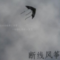 断线的风筝