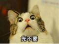 Marshall_chang