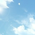 魚兒在水中