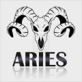 Aries322