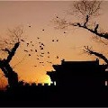 何處話悽涼