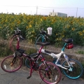 welson0711