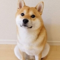 林恩0821