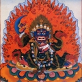 pengyu75