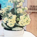 Gladys Chen