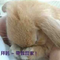 拉拉哩拉拉