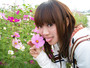 elainaliu