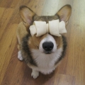 墨琳