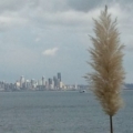 Alive@Seattle