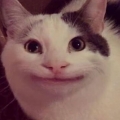 奎安诶