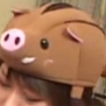以一擋萬豬